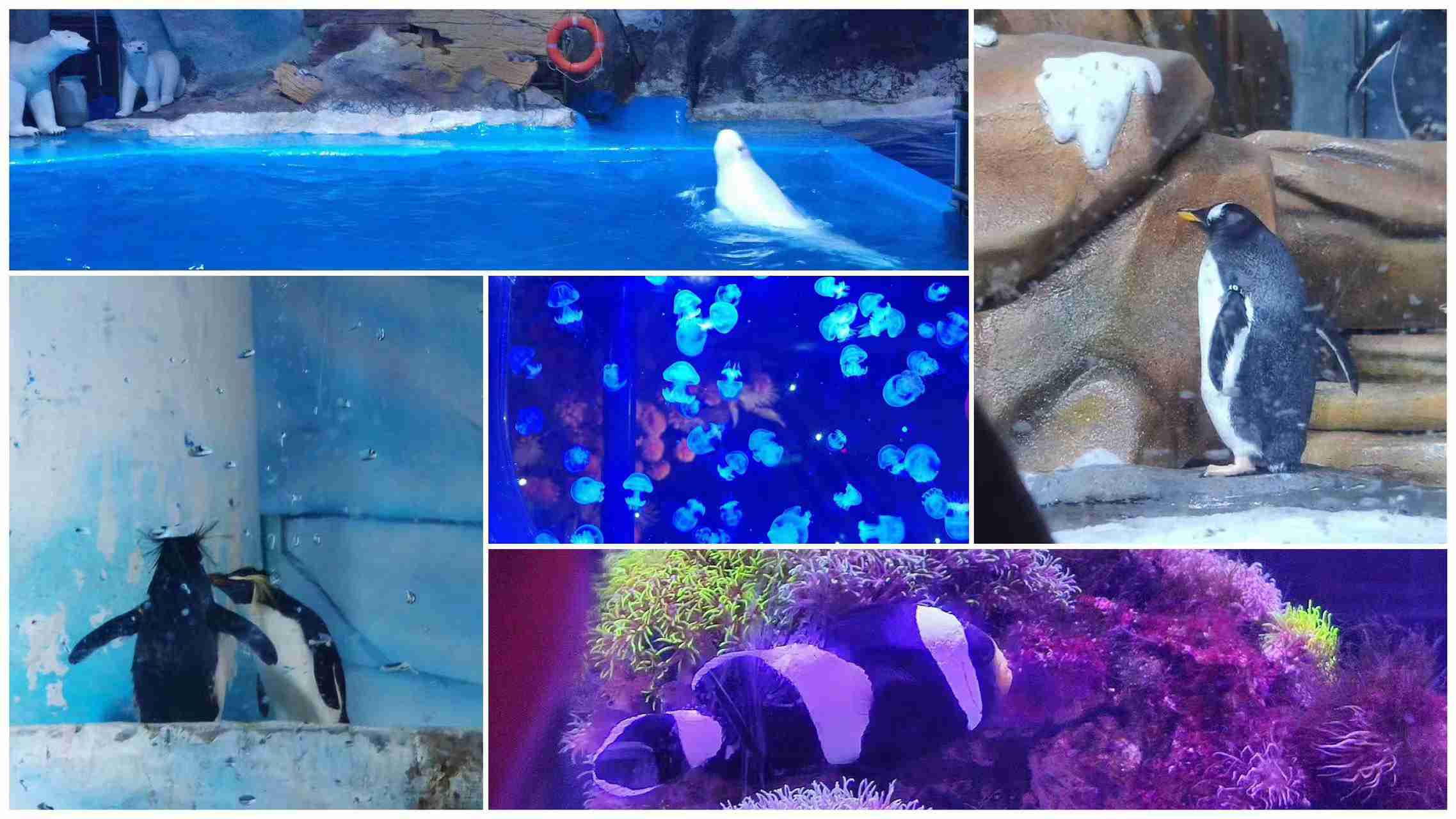 AGGAME��(�й���)���Źٷ���վ